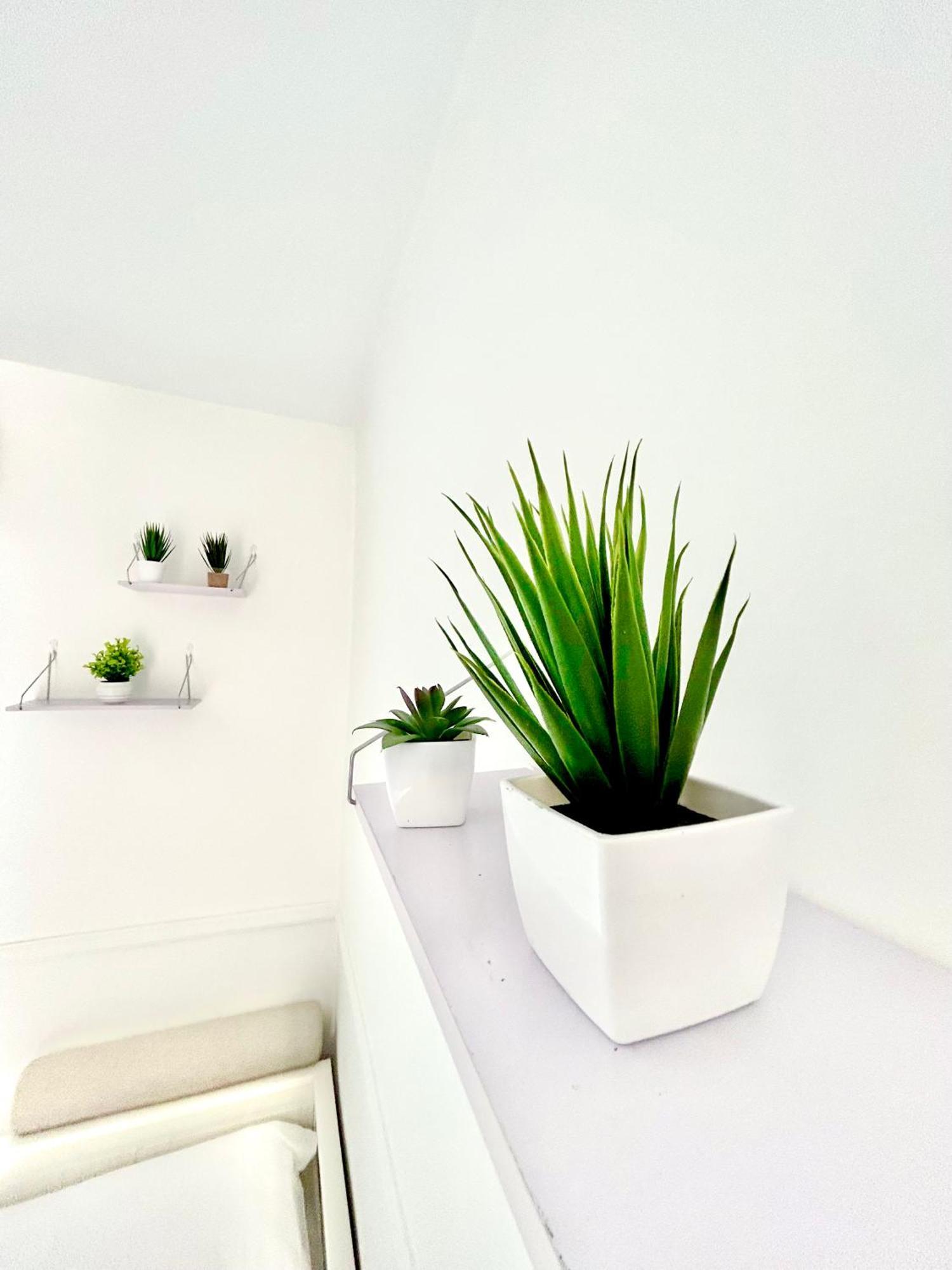 Santiago House Naples